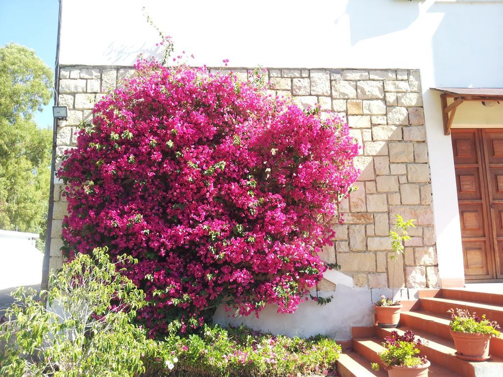 Al Sole Di Pula Bed & Breakfast ภายนอก รูปภาพ